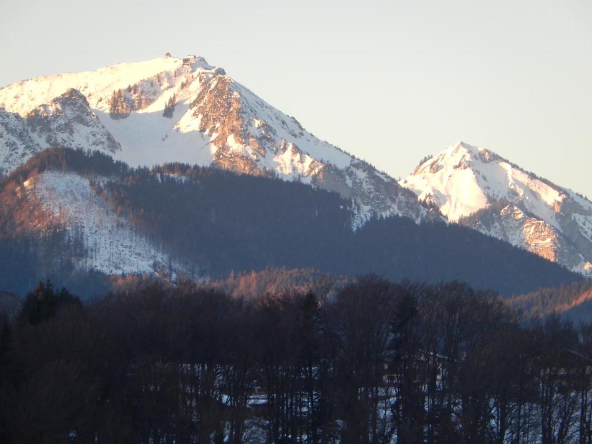 Private Luxury Chalet Siegsdorf Zewnętrze zdjęcie